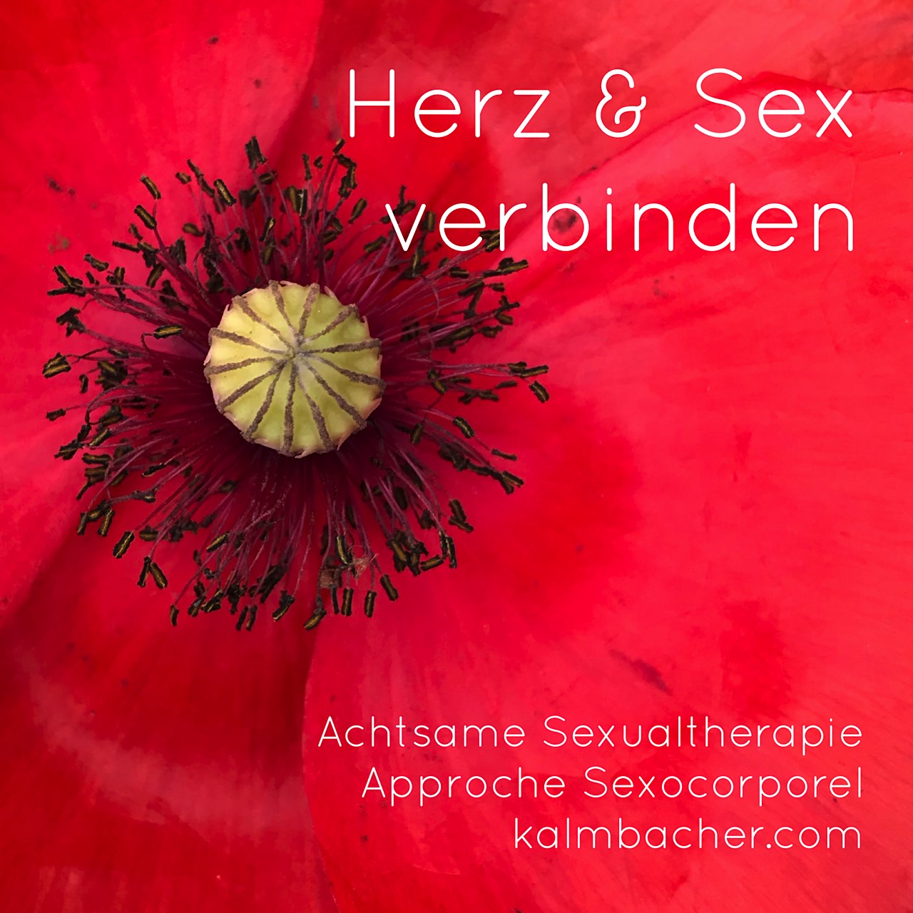 Foto Blüte Achtsame Sexualtherapie